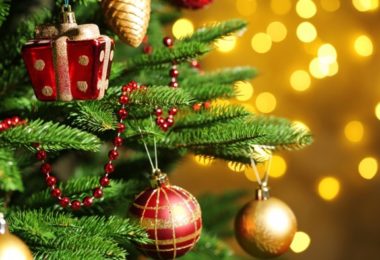 З Новим Роком 2019 та Різдвом Христовим!