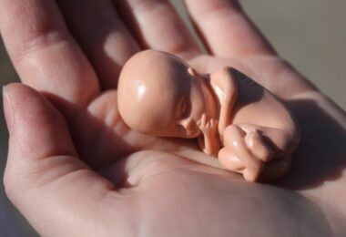 Виховна година на тему: «Ризики раннього початку статевого життя. Наслідки абортів».